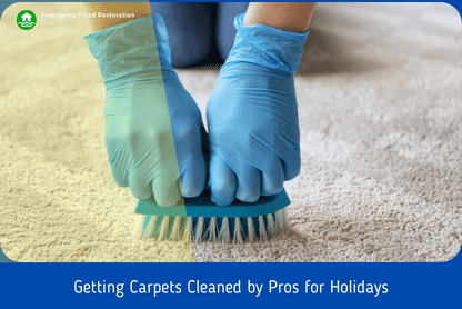  carpet cleaning